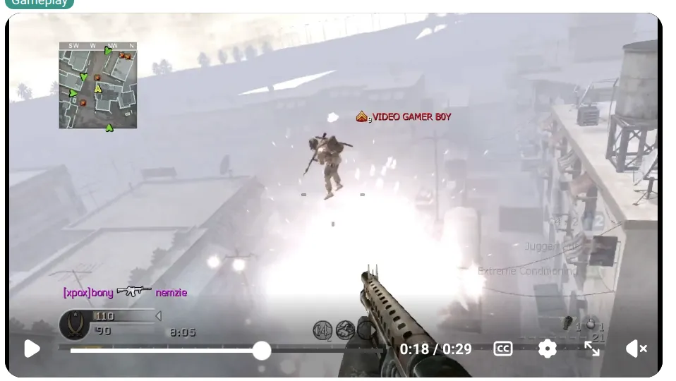 fly